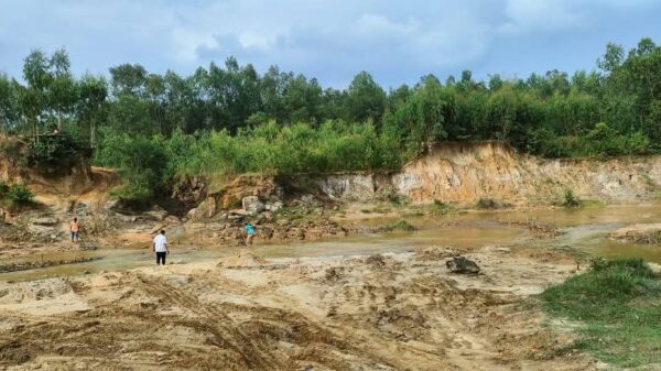 Vaginallarning yaqindan olingan fotosuratlari